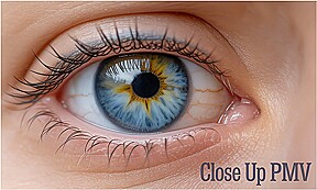 Pmv - Close Up (Vr Porn Music Video By Fap Vr)